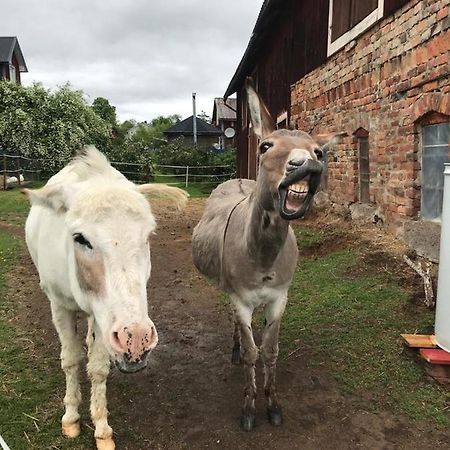 Stuga Asnagard Torsby Exterior foto