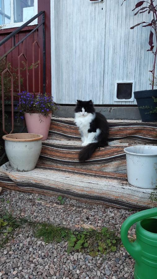 Stuga Asnagard Torsby Exterior foto