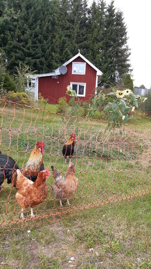 Stuga Asnagard Torsby Exterior foto